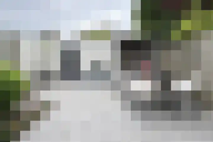 Moye Keene 76 Klundert thumbnail 57