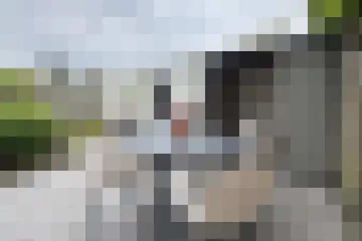 Moye Keene 76 Klundert thumbnail 58