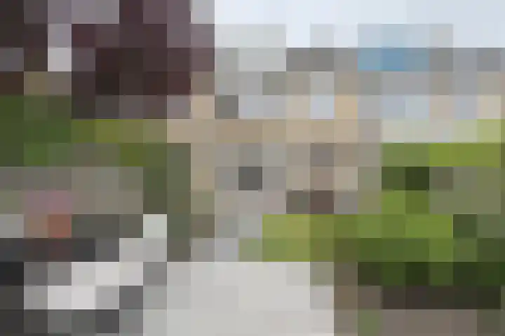 Moye Keene 76 Klundert thumbnail 6