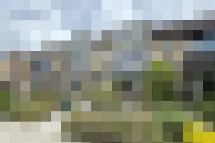 Moye Keene 76 Klundert thumbnail 63