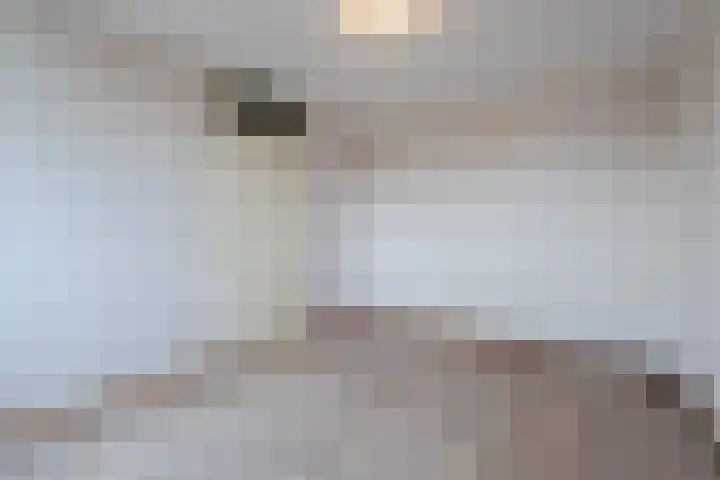 Mozartdreef 112 Harderwijk thumbnail 28