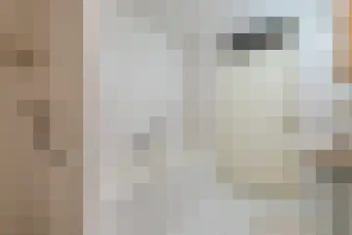 Mozartdreef 112 Harderwijk thumbnail 34