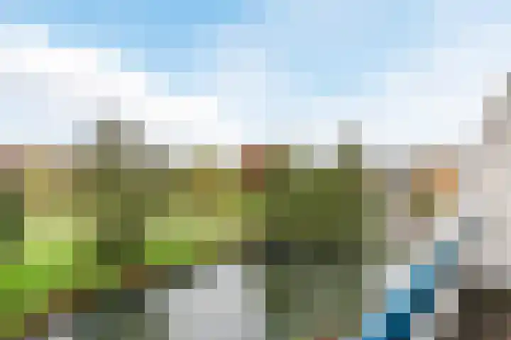 Mozartdreef 112 Harderwijk thumbnail 38