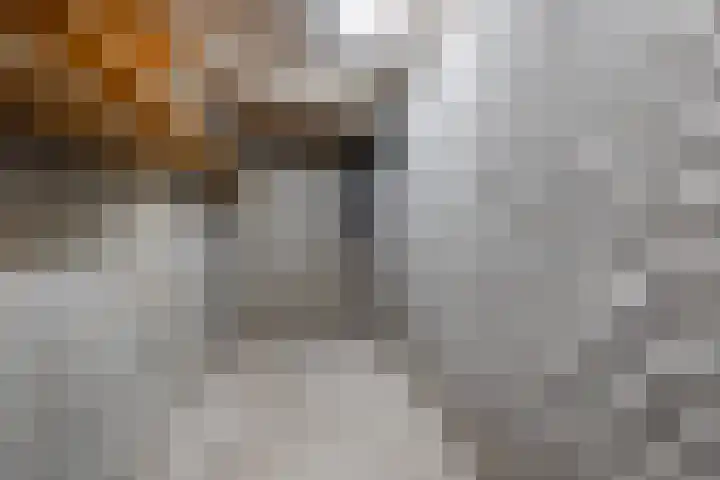 Mozartdreef 112 Harderwijk thumbnail 41
