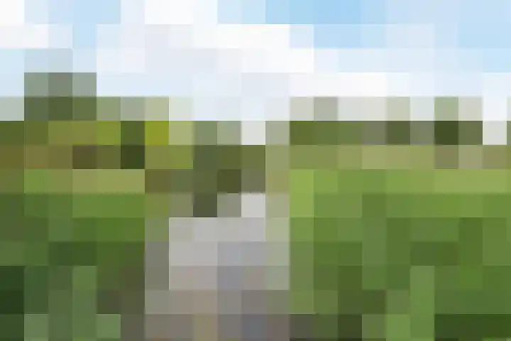 Mozartdreef 112 Harderwijk thumbnail 46