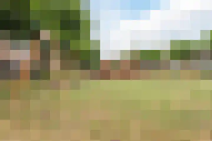 Mozartdreef 112 Harderwijk thumbnail 47