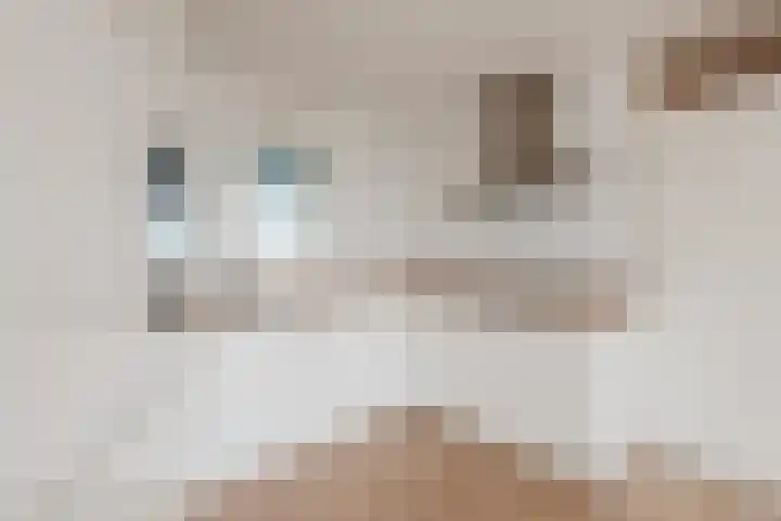 Mozartdreef 118 Harderwijk thumbnail 11