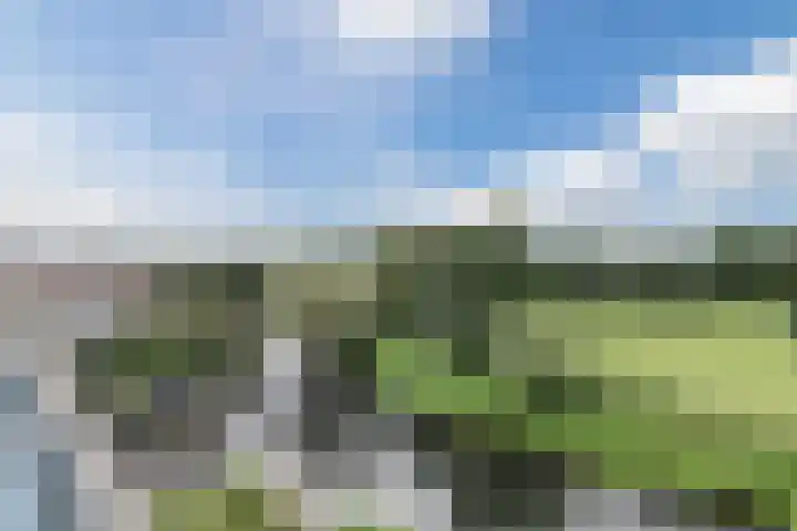 Mozartdreef 118 Harderwijk thumbnail 33
