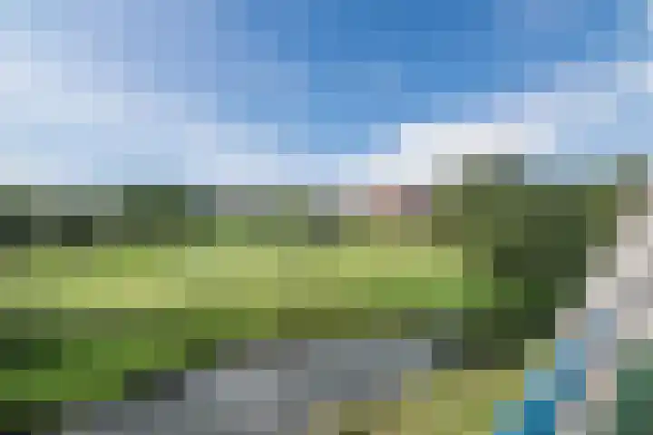Mozartdreef 118 Harderwijk thumbnail 34
