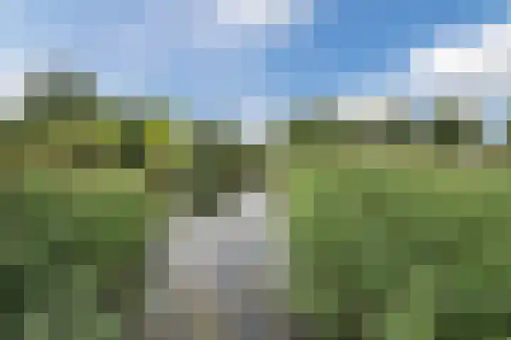 Mozartdreef 118 Harderwijk thumbnail 47