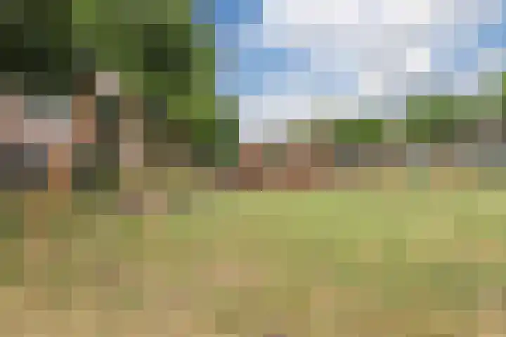 Mozartdreef 118 Harderwijk thumbnail 49