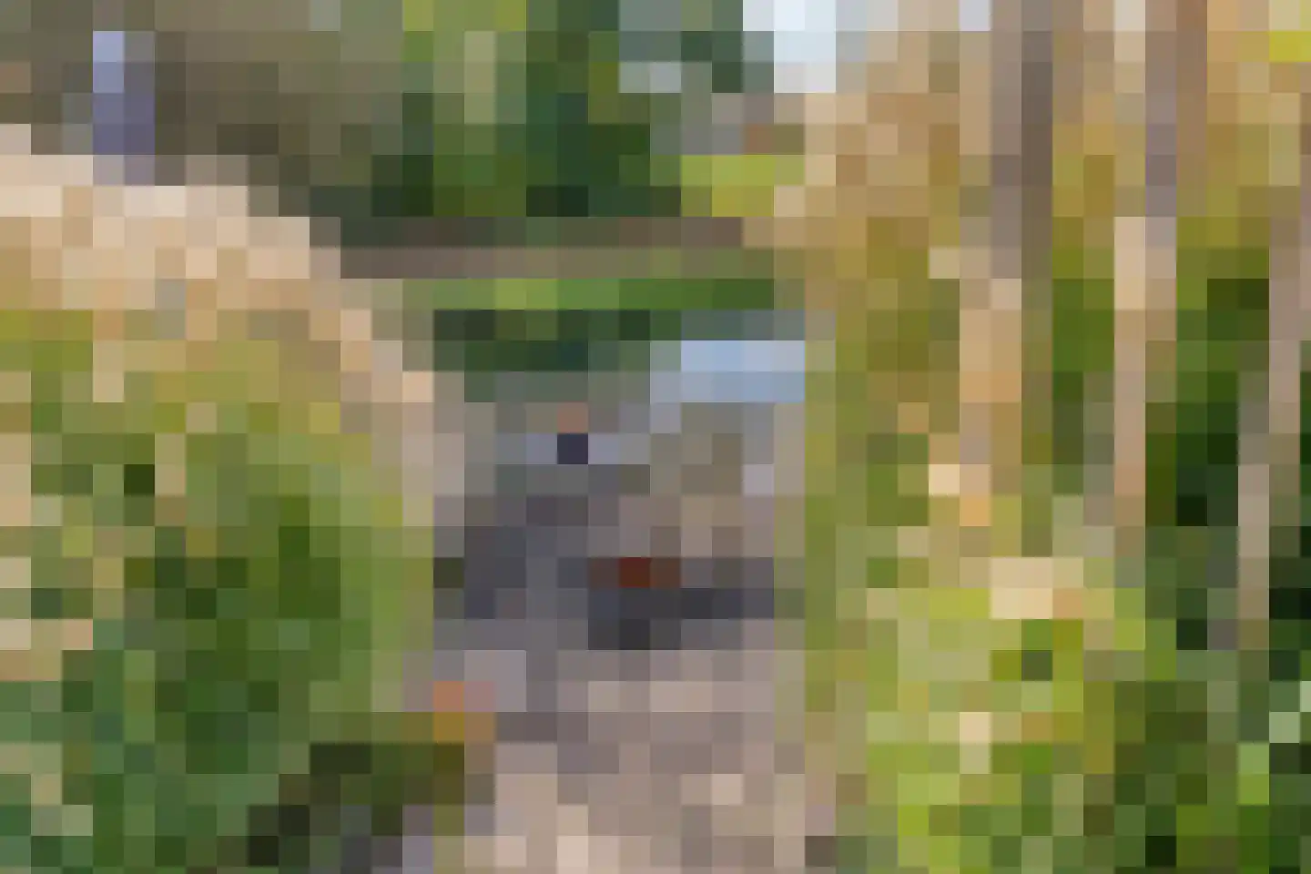 Mozartdreef 138 Harderwijk thumbnail 30
