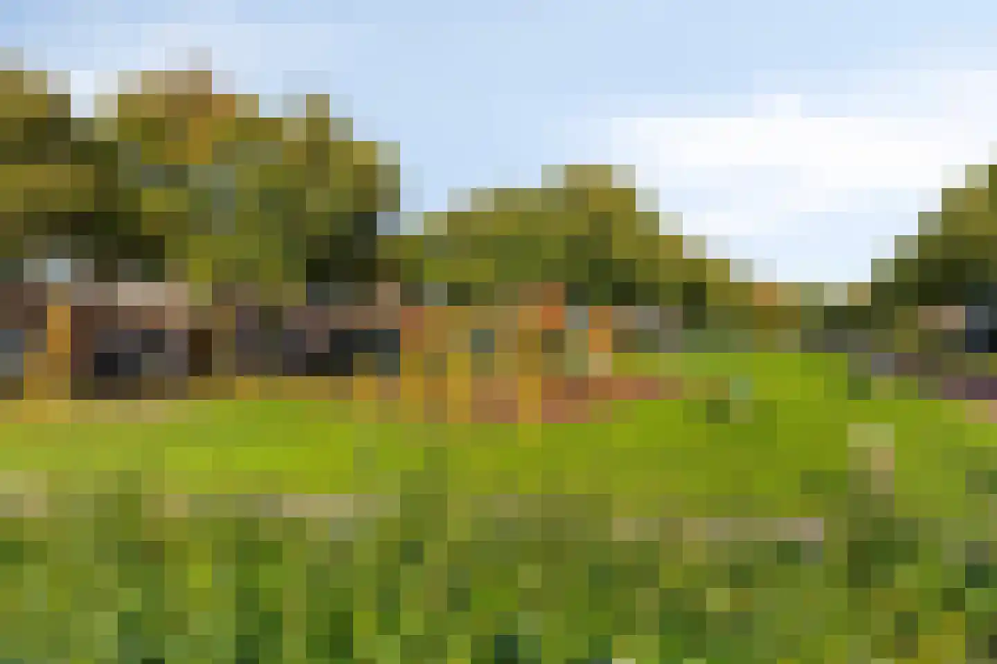 Mozartdreef 138 Harderwijk thumbnail 37