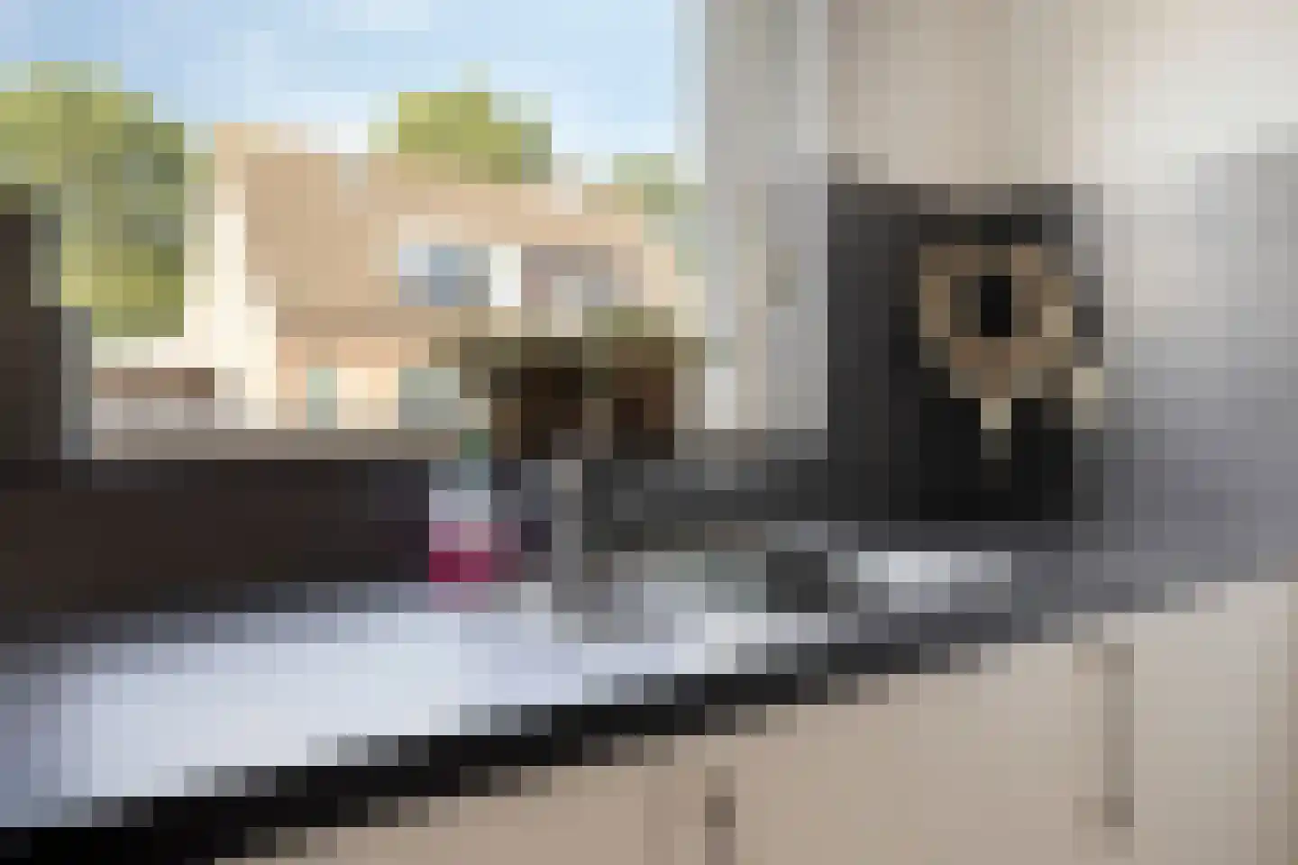 Mozartdreef 25 Veenendaal thumbnail 20