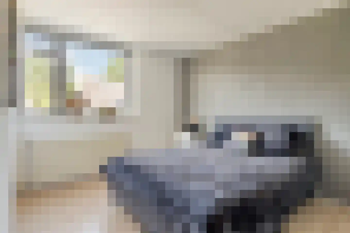 Mozartdreef 25 Veenendaal thumbnail 24