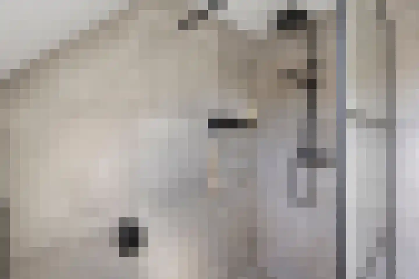 Mozartdreef 25 Veenendaal thumbnail 30