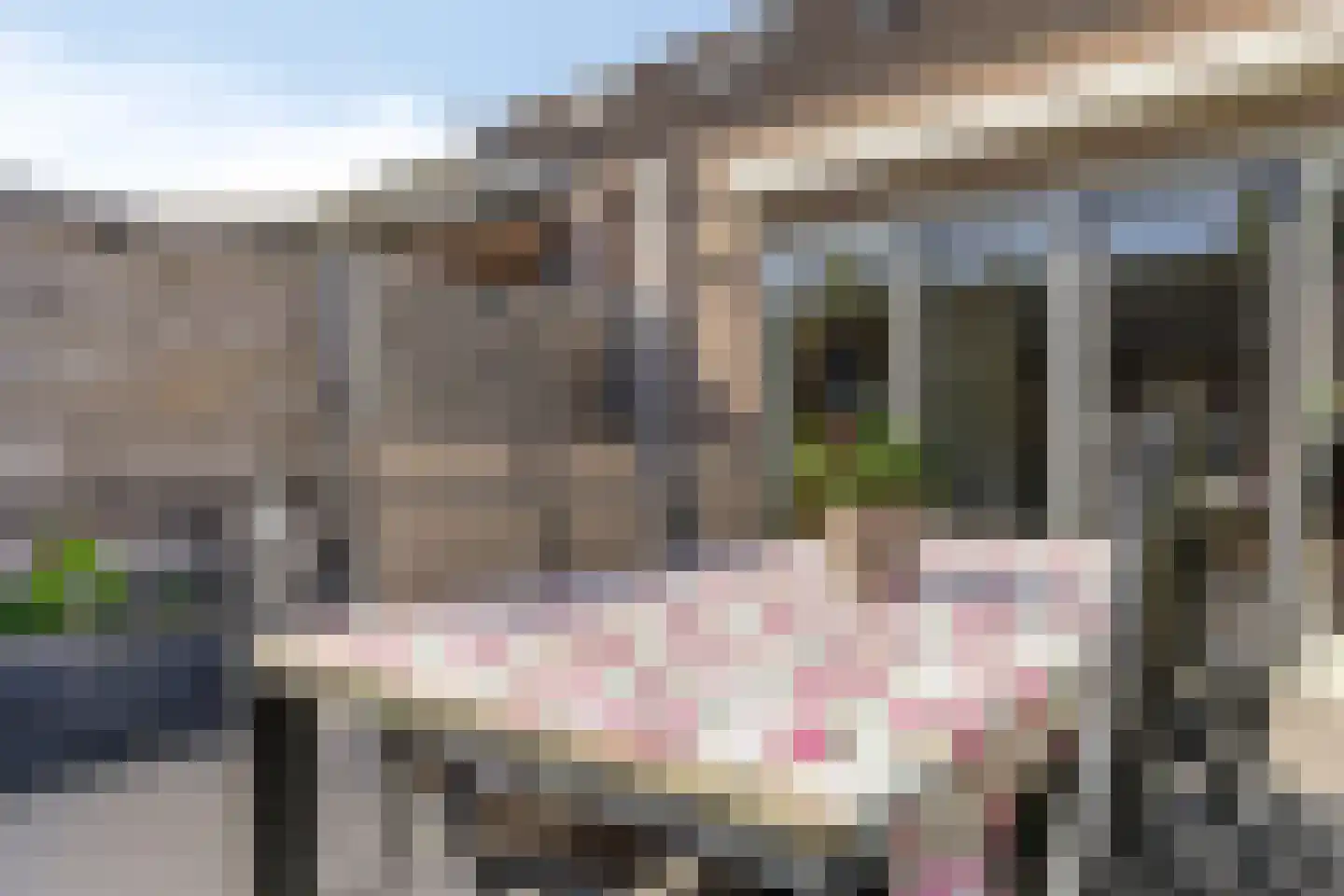 Mozartdreef 25 Veenendaal thumbnail 40