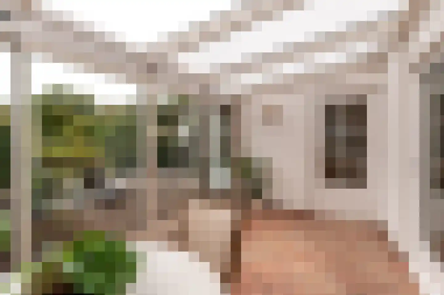 Mozartdreef 4 Harderwijk thumbnail 44