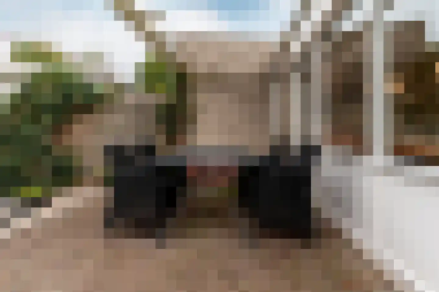 Mozartdreef 4 Harderwijk thumbnail 46