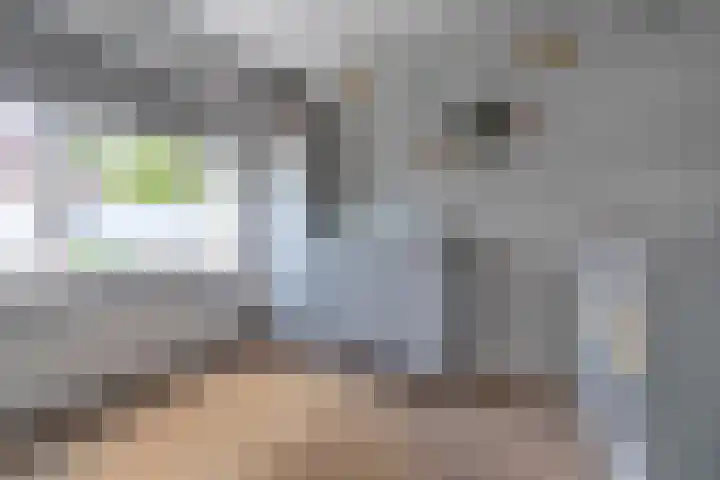 Mozartdreef 45 Veenendaal thumbnail 20