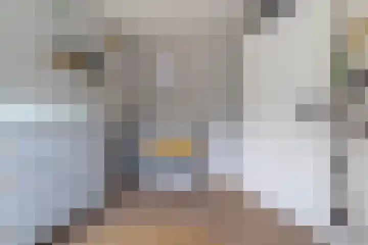 Mozartdreef 45 Veenendaal thumbnail 21