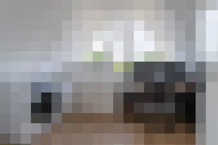 Mozartdreef 45 Veenendaal thumbnail 25