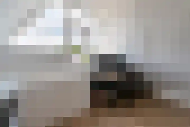 Mozartdreef 45 Veenendaal thumbnail 26