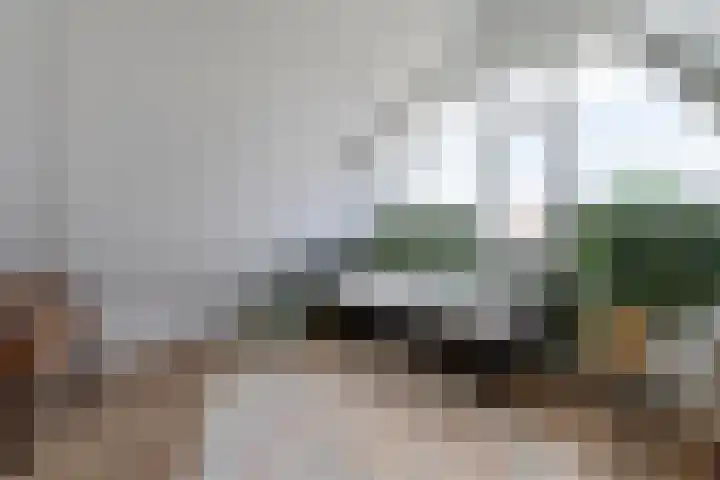 Mozartdreef 45 Veenendaal thumbnail 27