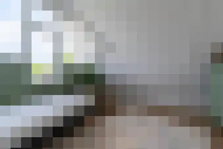 Mozartdreef 45 Veenendaal thumbnail 28