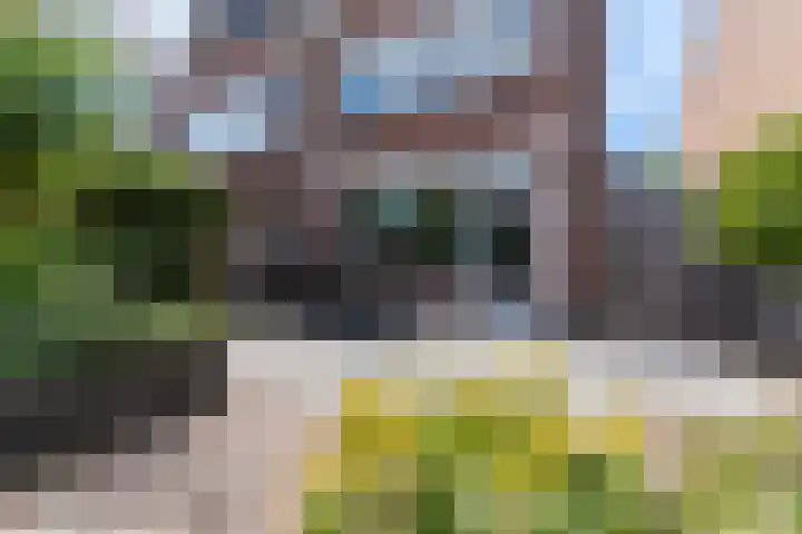 Mozartdreef 45 Veenendaal thumbnail 30