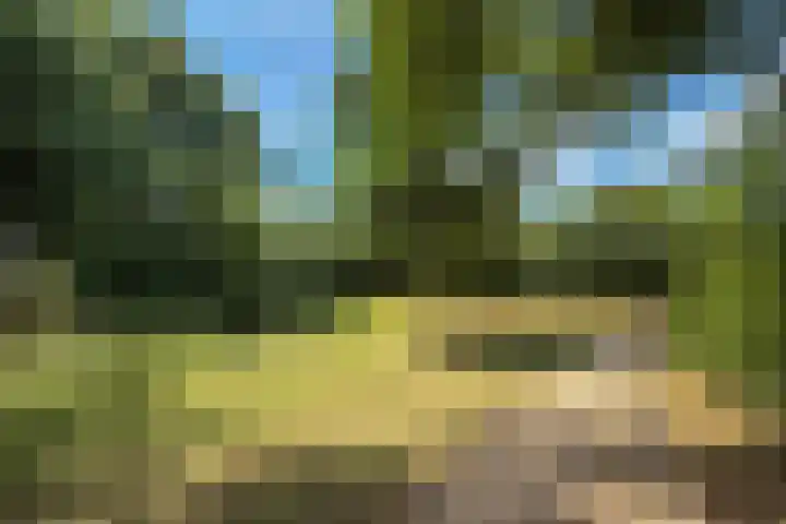 Mozartdreef 45 Veenendaal thumbnail 37