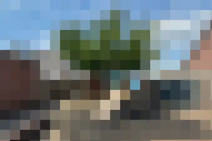 Mozartdreef 45 Veenendaal thumbnail 38