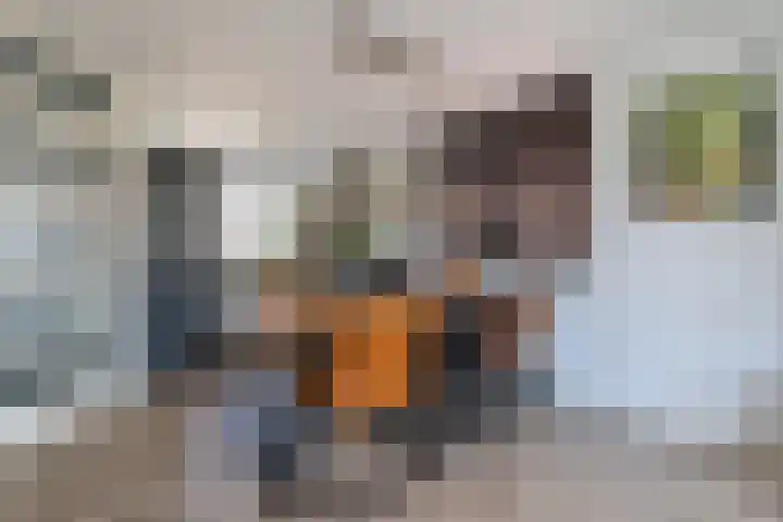 Mozartdreef 45 Veenendaal thumbnail 9
