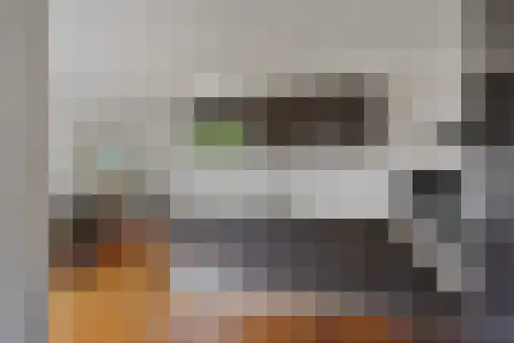 Mozartdreef 46 Veenendaal thumbnail 13