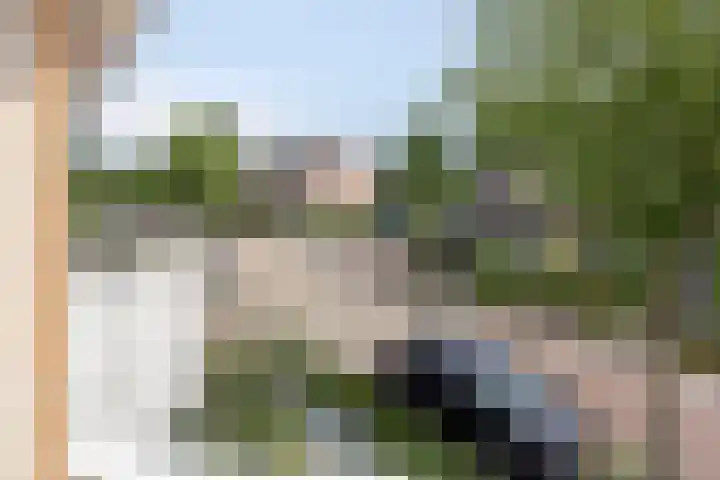 Mozartdreef 46 Veenendaal thumbnail 21