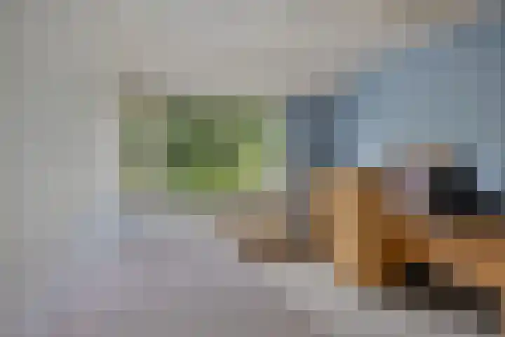 Mozartdreef 46 Veenendaal thumbnail 22