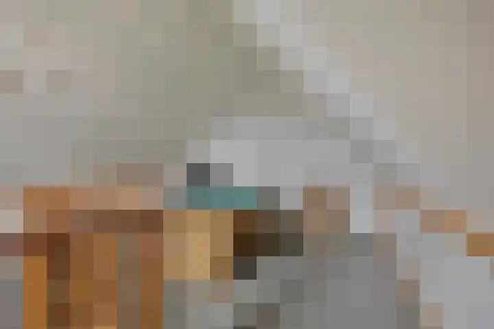 Mozartdreef 46 Veenendaal thumbnail 29