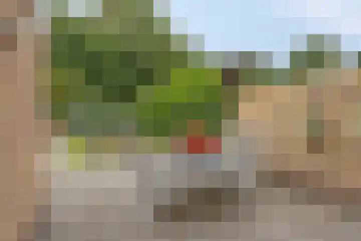 Mozartdreef 46 Veenendaal thumbnail 31