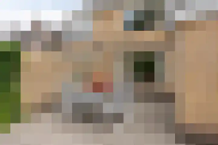 Mozartdreef 46 Veenendaal thumbnail 32
