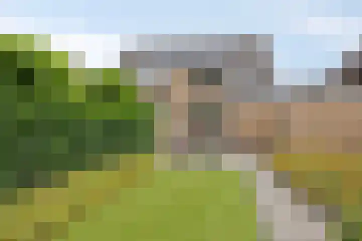 Mozartdreef 46 Veenendaal thumbnail 34