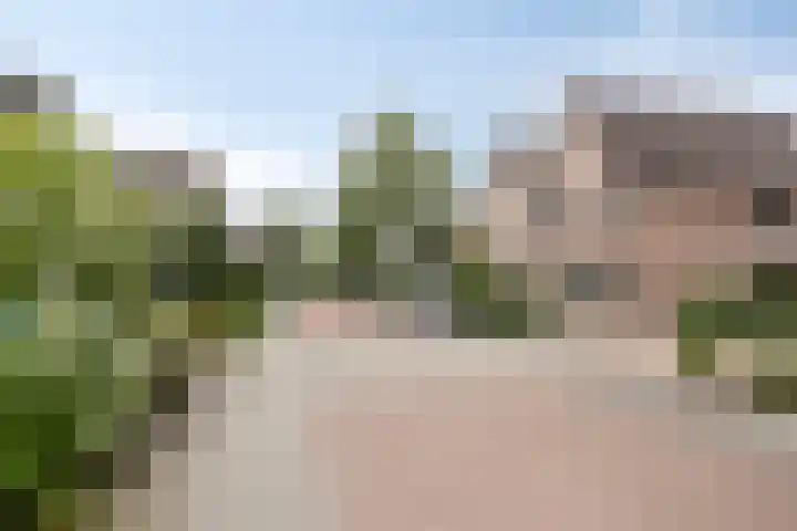 Mozartdreef 46 Veenendaal thumbnail 36