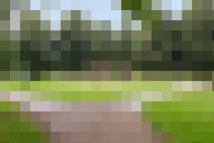 Mozartdreef 46 Veenendaal thumbnail 38