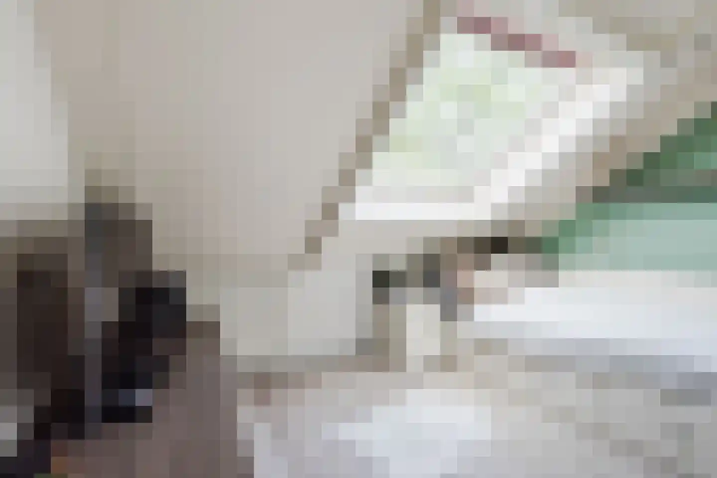 Mozartdreef 7 Harderwijk thumbnail 28