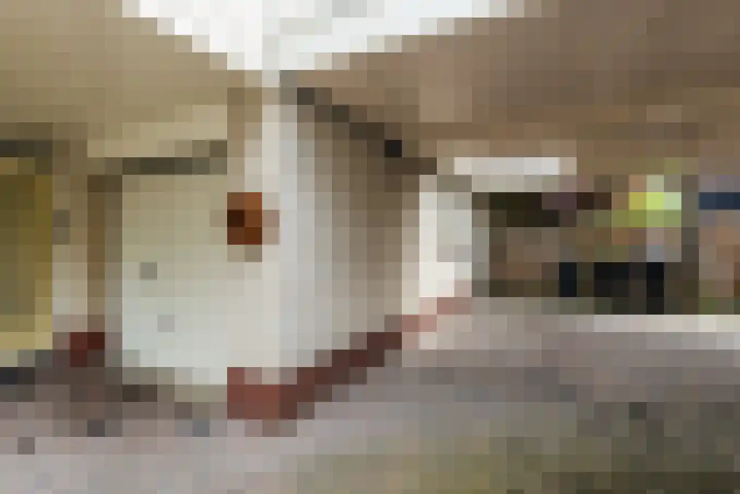 Mozartdreef 7 Harderwijk thumbnail 40