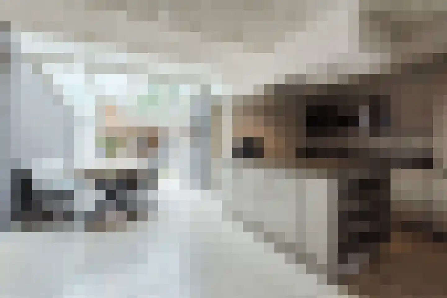 Mozartdreef 7 Harderwijk thumbnail 8