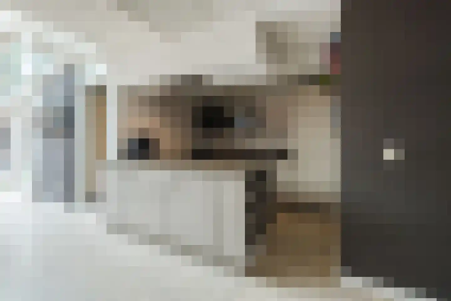 Mozartdreef 7 Harderwijk thumbnail 9