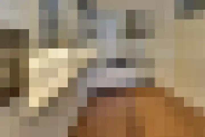 Mozartdreef 70 Harderwijk thumbnail 14