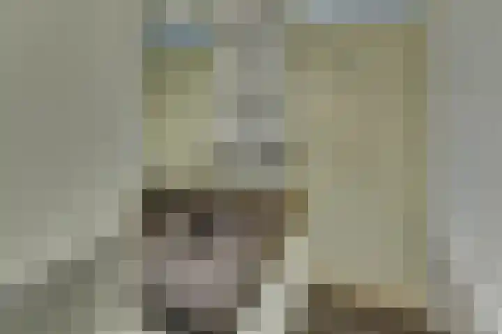 Mozartdreef 70 Harderwijk thumbnail 30