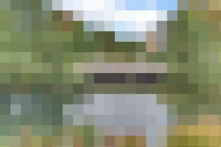 Mozartdreef 70 Harderwijk thumbnail 34