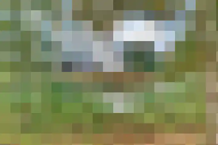 Mozartdreef 70 Harderwijk thumbnail 48